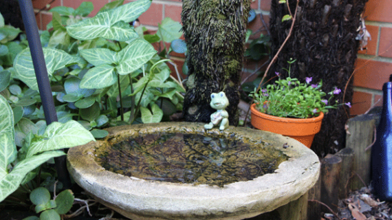 Lush garden makes house a home