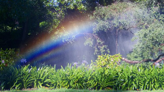 Sprinkler watering days for Spring